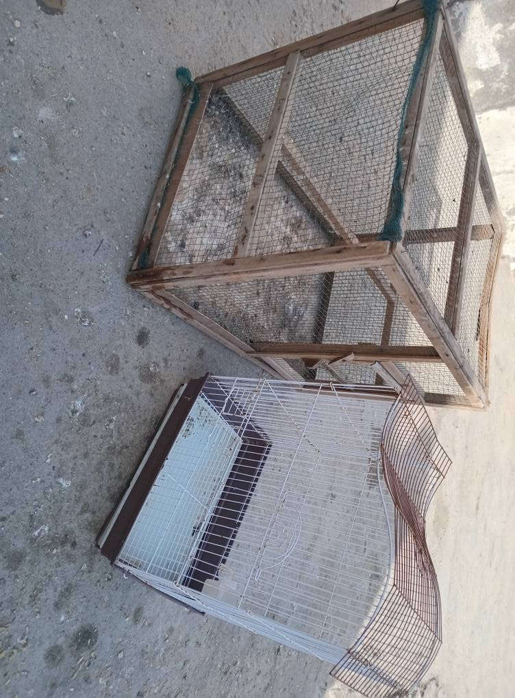 اقفاص للبيع سعرهن 25 ثنينهن مكاني بصرة مركز مدينة شراي يراسلني خاص البصرة, العراق


**إذا كنت صاحب هذا الإعلان وتريد حذفه لأي سبب، رجاءا أرسل رسالة إلى الدعم الفني**