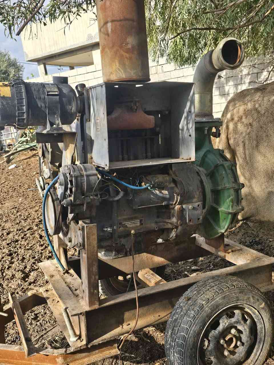 للبيع دويز حلواني ٣بستم خنزيره ٤×٥ ***********
#
