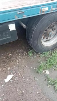 عريانة اوربي للبيع ٤ دناكير بيبي السعر ٦٠$ وبيها مجال العنوان / بغداد ...