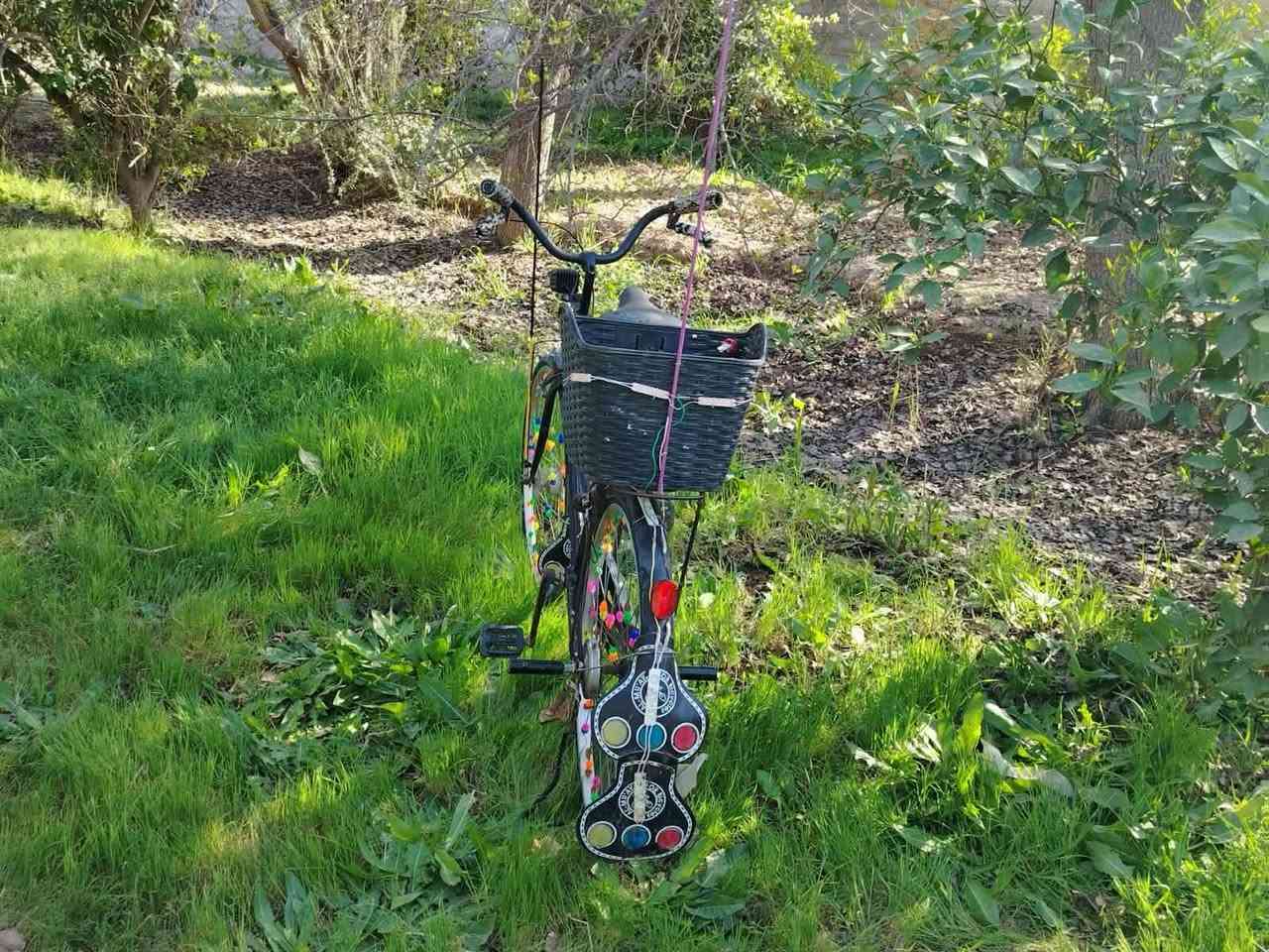 السلام عليكم ورحمة باسكل البيع حجم 26 رقم ***********
