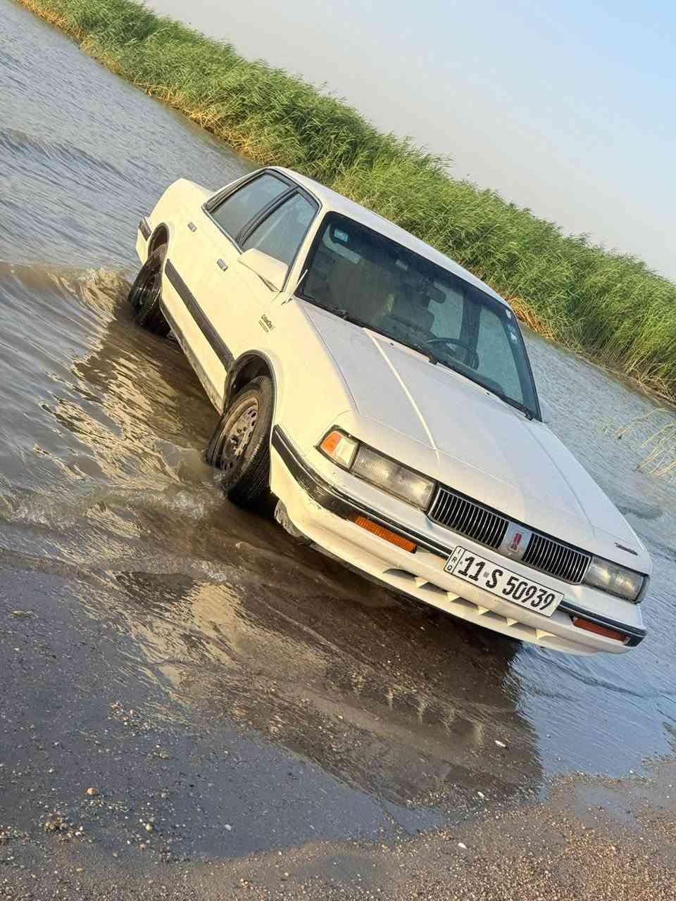 اخوان مراوس ادور بي ام 
السلام عليكم سياره بلاديه من كلشي كير مكينه شرط سنويه 31 شعندك بي ام مراوس نزلها


**إذا كنت صاحب هذا الإعلان وتريد حذفه لأي سبب، رجاءا أرسل رسالة إلى الدعم الفني**