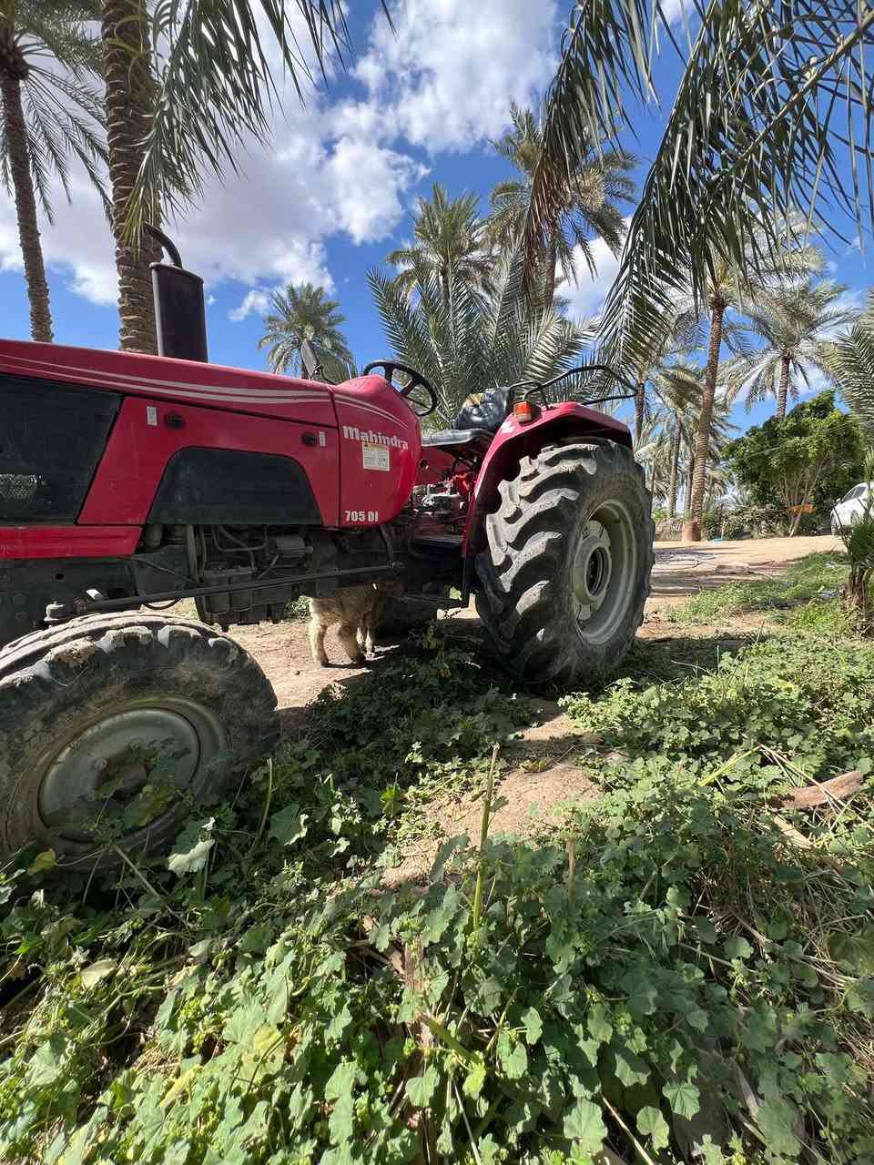 لبيع الاستفسار الاتصال ع الرقم 
***********
