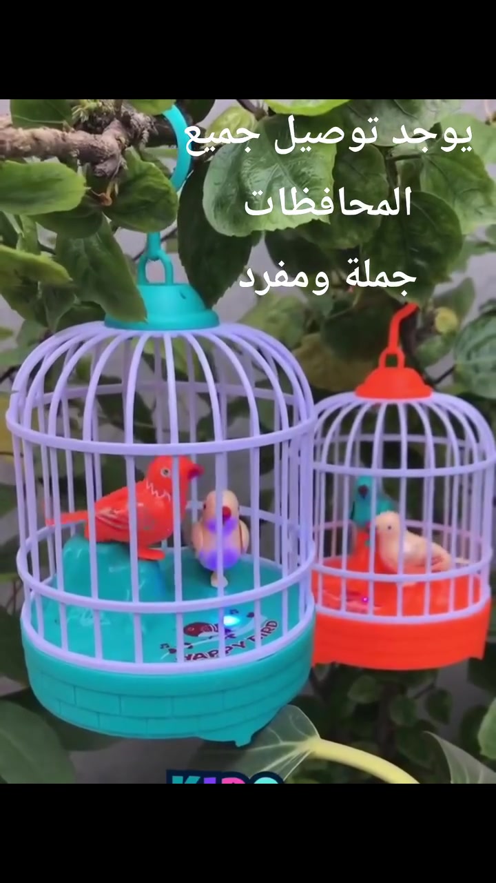 الطيور المغردة  في القفص
تعمل  عل الشحن وليس بطارية
متوفر جملة ومفرد
توصيل كافة محافظات العراق


**إذا كنت صاحب هذا الإعلان وتريد حذفه لأي سبب، رجاءا أرسل رسالة إلى الدعم الفني**