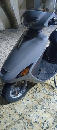 فراشة • رمبه • زبير