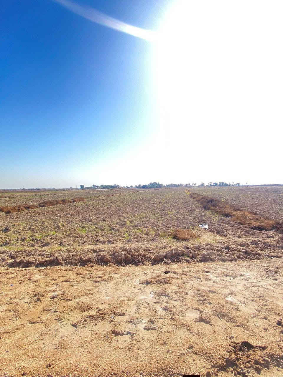 أرض زراعيه للبيع عقد 117 ..
المساحه 10 دونم
مقابل سيد غني..طريق اليو خشم..مباشره للشارع السايدين الي يربط بالخط الدولي و حاليا العمل جاري بي.الواجهه 60م ..حصه مائيه..بأسم واحد ..تفاصيل أكثر اتصل 
  على الرقم
***********
