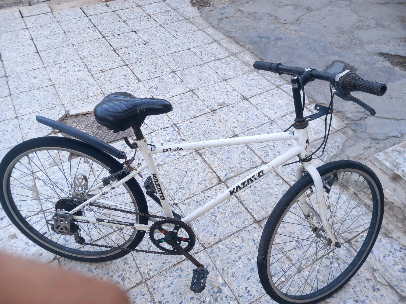 بغداد الشعب 