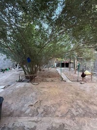ابي الخصيب العوجه • ٣٤٠م • طابو ملك صرف