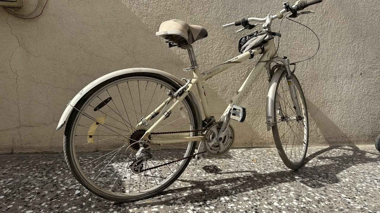 بايسكل جاينت ماركه اصلي ماخذه بورقتين
🚴 CS3200
اصلي جبلي
(متروك صارله ٨ اشهر) يحتاجله غسله مرتبه و زنجيله مزنجر ويمكن بي بنجر متكلف
مستعجل على بيعته هسه باسرع وقت 
المكان الشهداء البياع 🏠
قيم واخذ ♥️


**إذا كنت صاحب هذا الإعلان وتريد حذفه لأي سبب، رجاءا أرسل رسالة إلى الدعم الفني**