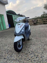 ماكس • قجمة • ياباني