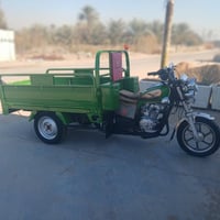 ستوته • موديل ٢٥ • مكفول