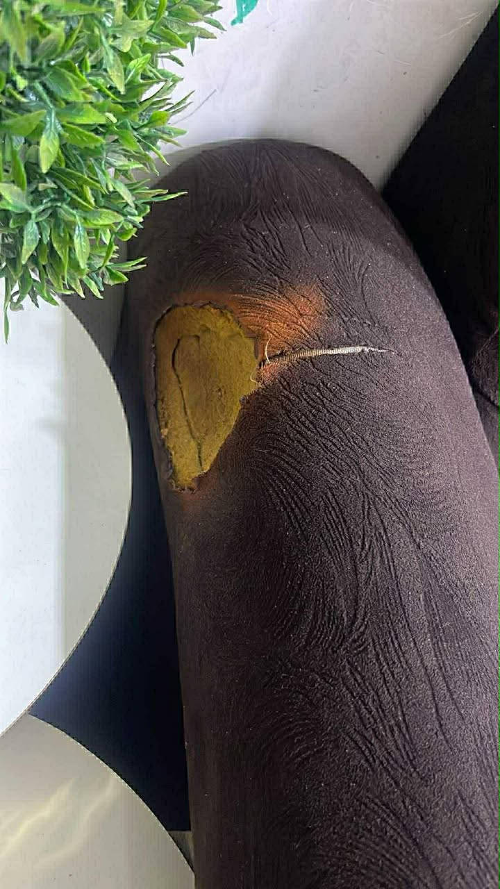 تخم 7 مقاعد جوزي بي ضرر حرك باليده وهذا اليده الثانيه مفتوح القماش يرادله خياط  سعر ١٧٥ وبي مجال


**إذا كنت صاحب هذا الإعلان وتريد حذفه لأي سبب، رجاءا أرسل رسالة إلى الدعم الفني**