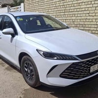 جن بلص ٢٠٢٥ داخل زيتوني ماشيه ٦٠٠٠ مكفوله كفاله عامه السعر المطلوب ١٨ ...