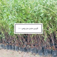 وبركاته  إخواني الكرام 🌱 منشور جديد يتضمن تخفيض الأسعار ، شرط كما في ا...