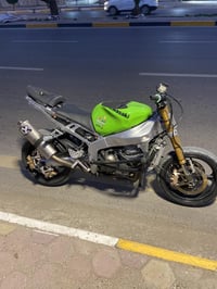 كاوسكي 2004 • مكفولة • مشتل