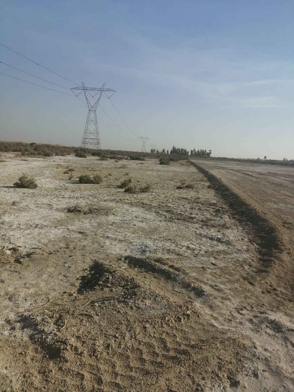 السلام عليكم ارض زراعية للبيع ٤دونم عقد ١١٧ المكان واسط الصويرة الرحمانية ***********
