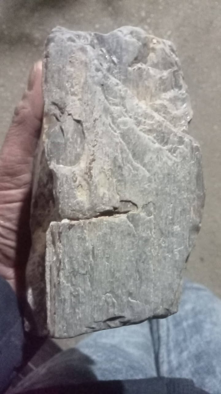 خشب حجري  عمره ملايين السنين


**إذا كنت صاحب هذا الإعلان وتريد حذفه لأي سبب، رجاءا أرسل رسالة إلى الدعم الفني**