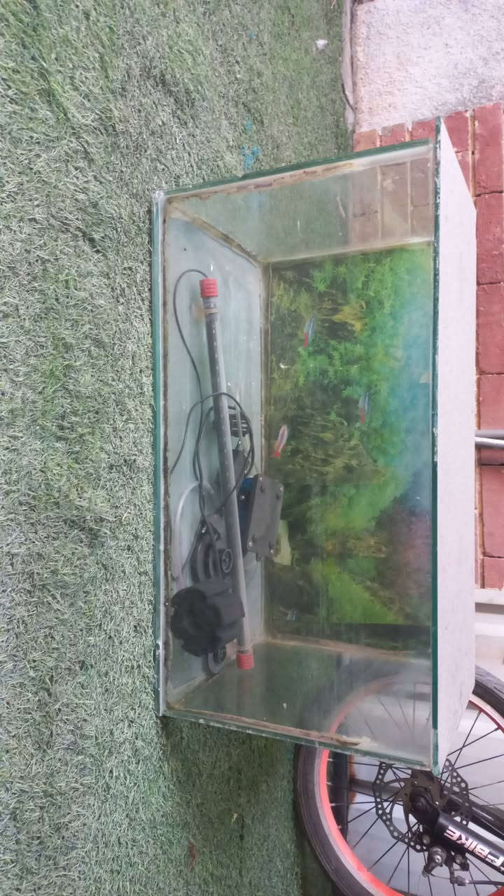 بيع هذه الاغراض كراده داخل 
الاتصال ***********
