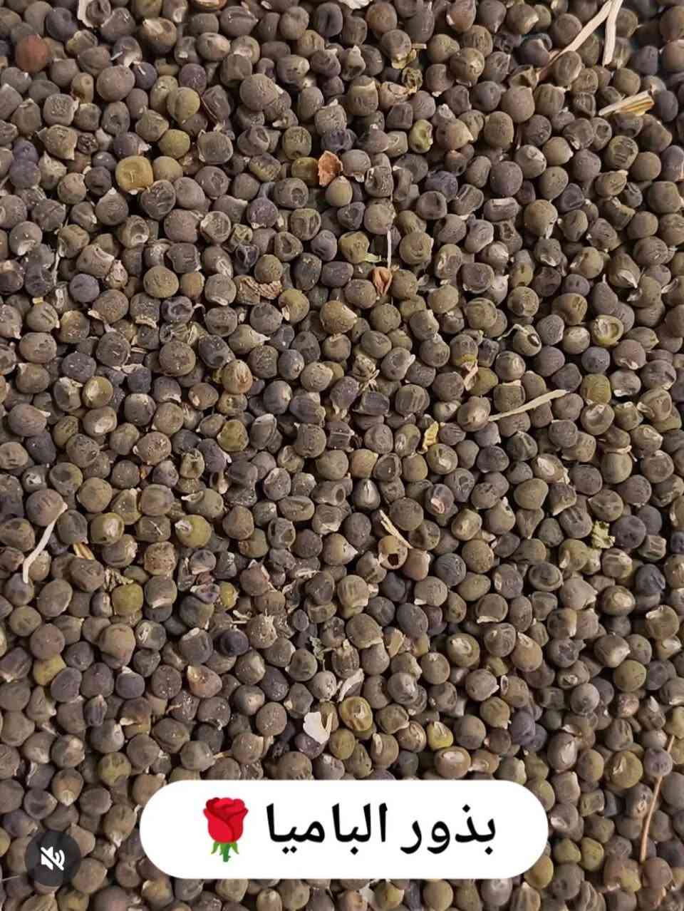 عطارية النورين 
كافة انواع البهارات الخليجية والبصراوية.. 
زيوت أصلية.. أعشاب طبية مواد غذائية والخلطات التجميلية.. 
يوجد خدمة توصيل 
***********
انستا - @alno_ran
المثنى / قضاء الخضر - السوق العصري قرب محل سيد احمد

