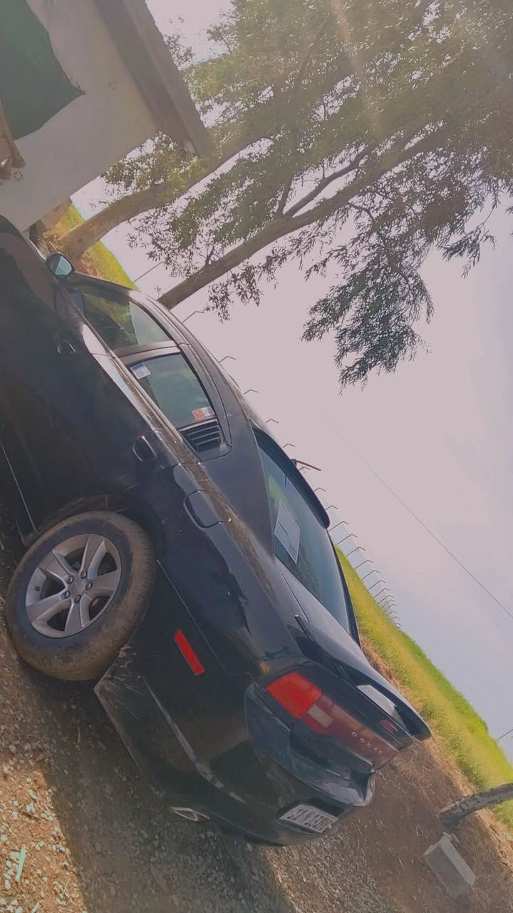 دوج جارجةر 2014 ساغ رقم بخداد دوبارة سبوخ عام أربيل, العراق


**إذا كنت صاحب هذا الإعلان وتريد حذفه لأي سبب، رجاءا أرسل رسالة إلى الدعم الفني**