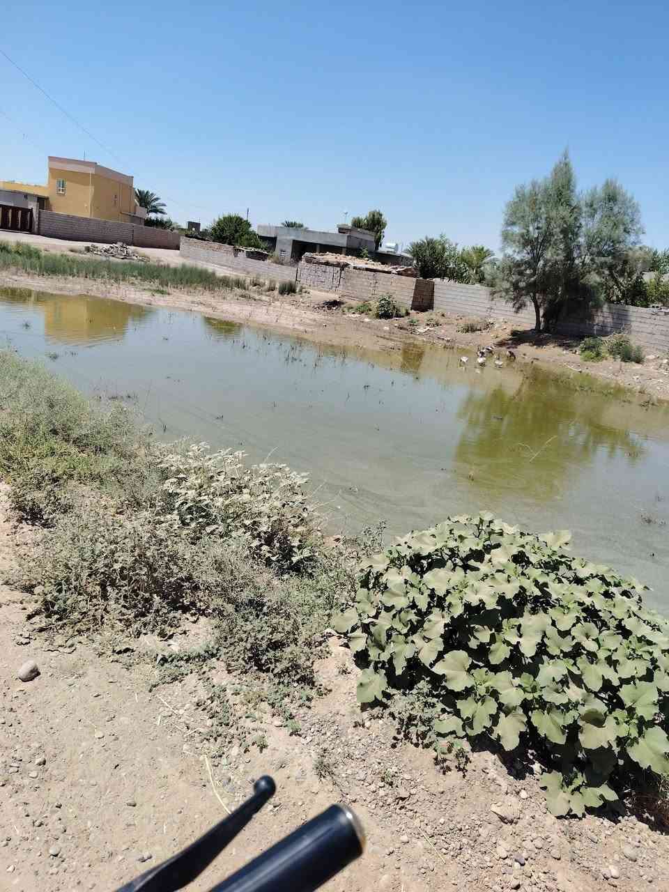 السلام عليكم قطعة ارض للبيع مساحة الأرض دونيمين واصلها ماء وكهرباء وتبليط رقم صاحب الدارصالح السلطان العامر *********** والموقع اسديرة علية الفهد المقبرة القديمة

