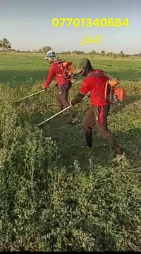 تنظيف حدائق • تنظيف منازل • كلار