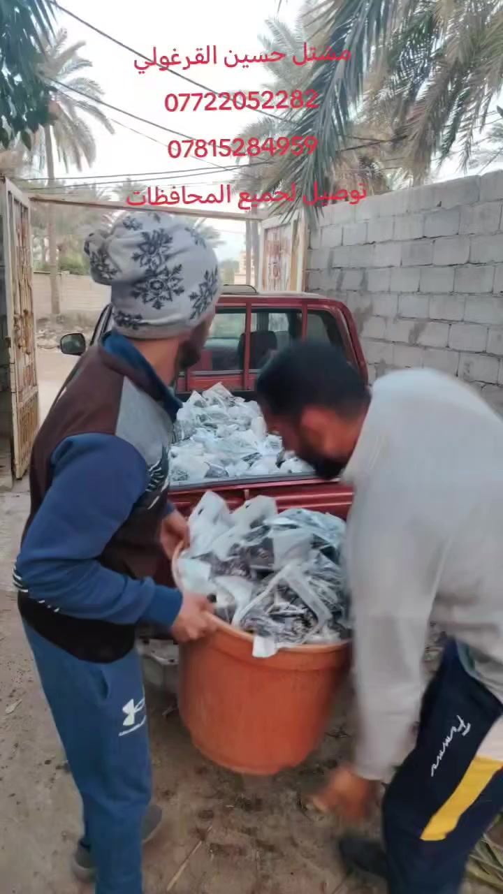 تجهيز احد المزارع 500 كغم بخلطة الاستاذ لتنشيط فسائل النخيل وكافة الاشجار. يوجد توصيل لجميع المحافظات
سعر الكيلو 5 الاف 
***********
*********** ***********
ديالى. ناحية السلام. منطقة سراجق.
