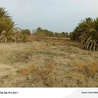 دونمين • شاطي على النهر • الامام المهدي بعد الجسر