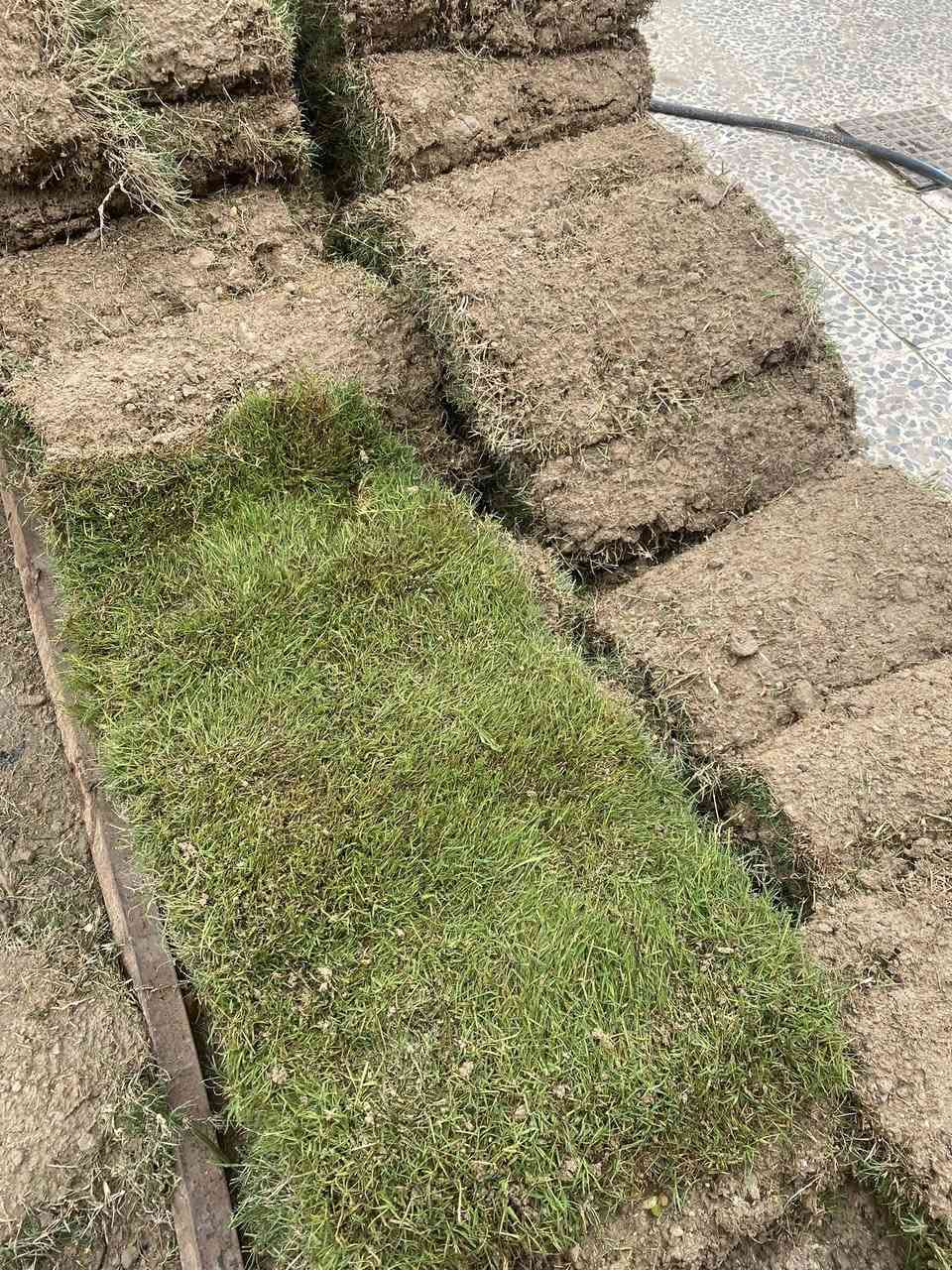 ثيل للبيع
ثيل امريكي مقطع للبيع الشراي خاص 
او اتصال على الرقم ***********
مكاني فلوجة حي جبيل
