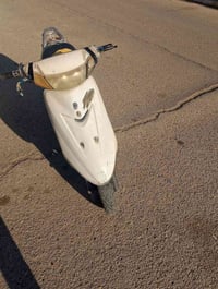 عصفوريه • سعر خاص • كوت انوار الصدر