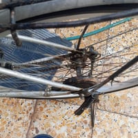 ياباني • ٢٧بوصة • براكيه