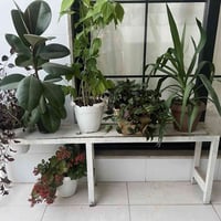 أربيل • مرجوحة • ستاند ٢٥گلە