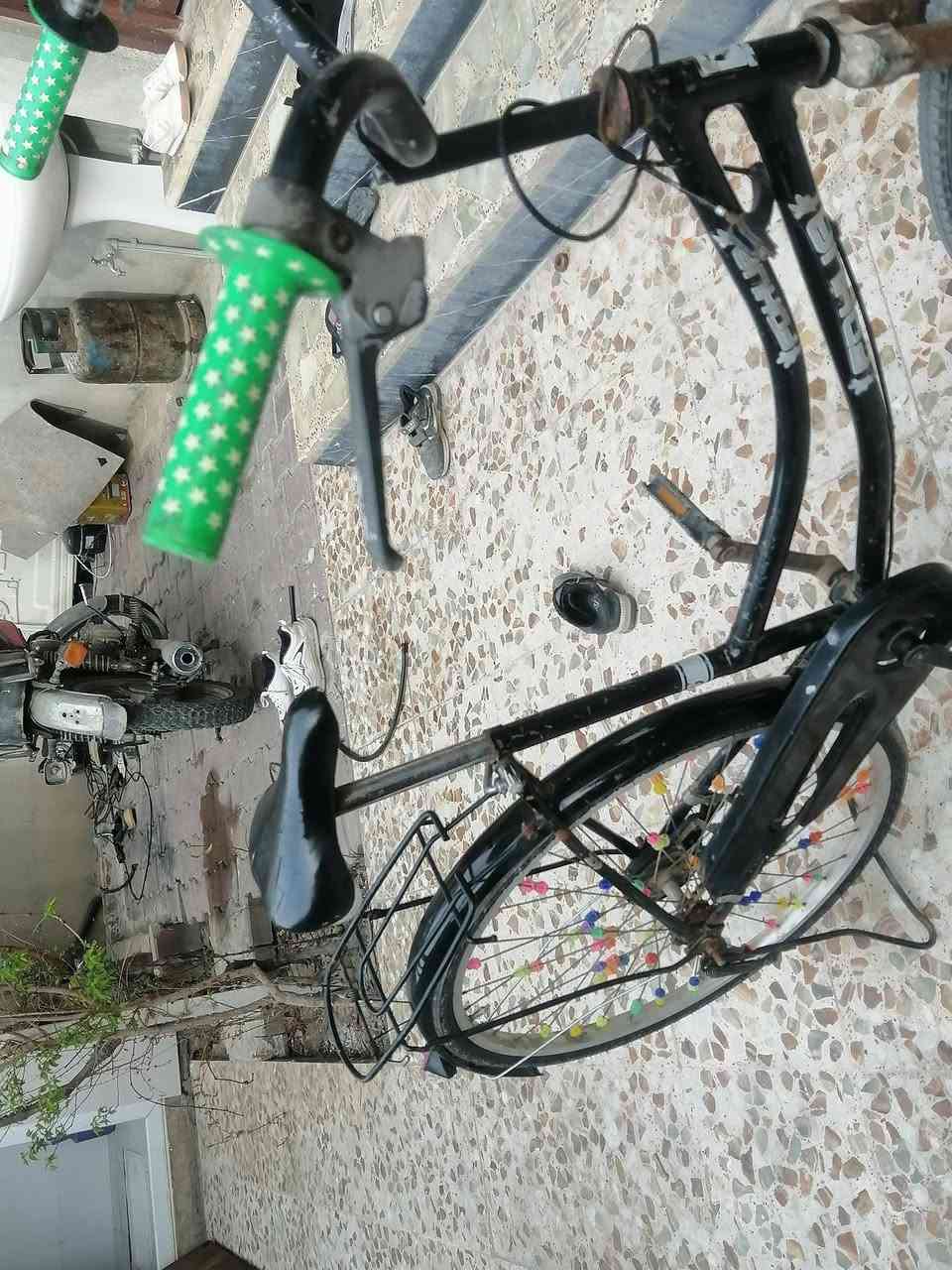 باسكل  للبيع السعر 25 بس كشن ما ويا


**إذا كنت صاحب هذا الإعلان وتريد حذفه لأي سبب، رجاءا أرسل رسالة إلى الدعم الفني**