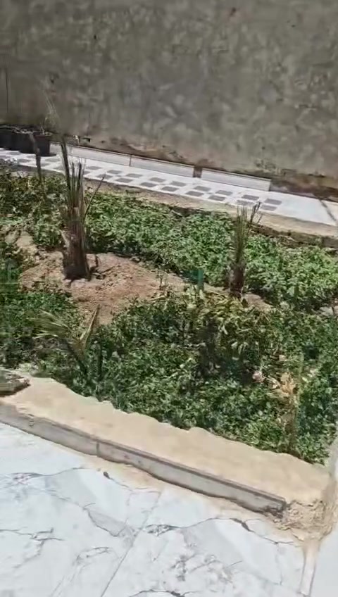 يا الله بيت زراعي للبيع مساحة البيت 250 متر البناء بلوك الشمال البيت مرتب وجاهز
فرع مدرسة صفي الدين قرب مكتب الغاز كافة الخدمات يمه السعر خاص للتواصل واتساب ***********
