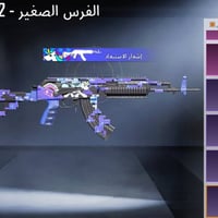 حساب كونكر • مستوى ٦٧ • فلوجه