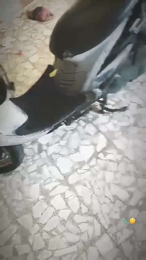 ماكس منغولي للبيع بلاديه غراضها كامله


**إذا كنت صاحب هذا الإعلان وتريد حذفه لأي سبب، رجاءا أرسل رسالة إلى الدعم الفني**