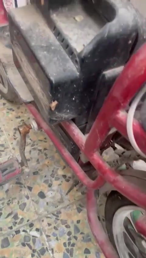 دراجه شحن للبيع متروكه سعر 40


**إذا كنت صاحب هذا الإعلان وتريد حذفه لأي سبب، رجاءا أرسل رسالة إلى الدعم الفني**