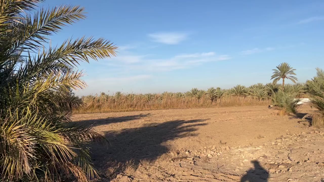 يعلن مكتب اليقين   دوانم للبيع  رقم الاعلان(254)

جنس العقار /سند ٢٥ طابو زراعي تحويل بأسم المشتري✅

الموقع /بغداد -الراشدية- بالقرب من البحيره✅

تتوفر بيهه ماء وكهرباء وتصلح مشروع أستثماري✅

تنباع حسب الطلب ‏دوانم ‏السعر 115 ￼￼

للأستفسار الاتصال بالرقم التالي ‭0774 414 2769‬
