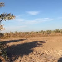 يعلن مكتب اليقين   دوانم للبيع  رقم الاعلان(254)  جنس العقار /سند ٢٥ ط...