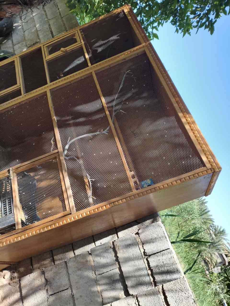 السلام وعليكم قفص للبيع طول متر ونص 
عرض 58 
رقم ***********
