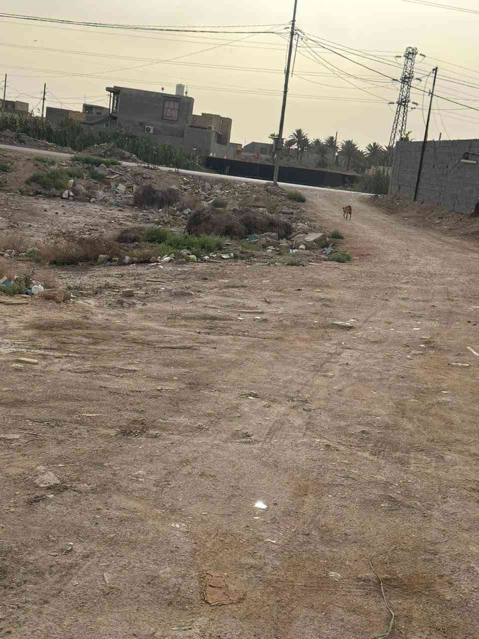 قطعة أرض للبيع مساحه ٤٣٠متر
بيت للبيع مساحه ٣٦٠متر واجه ١٢ونص نزال ٣٠متر 
طابو زراعي سند٢٥ ثاني بيت عن شارع تبليط بي غرفتين نوم وهول جبير ومطبخ واستقبال جبير وكراج سياره وحديقه داخليه مجمع صحي داخلي وخارجي عنوان حله وردية سيف سعد شارع المشجر 

***********
