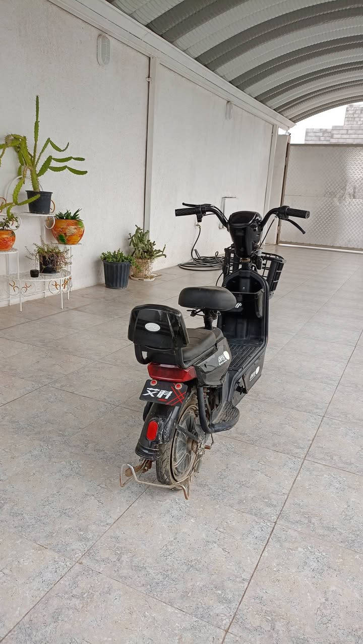 السلام عليكم للبيع دراجه شحن حجم 14نضافه 100على 100 3 بطاريات سرعتها الحقيقه 66 دراجه سويج تشغيل عن بعد بيهه دبل سويج ودبل بصمه اشاره يمين اشاره يسار
لايت زنون مقعدين بريكات بل مكان.سله اماميه لتحميل الغراض برغي مانقصه السعر 250 وبيه مجال بسيط مكاني صلاح الدين الظلوعيه رقمي *********** ،
