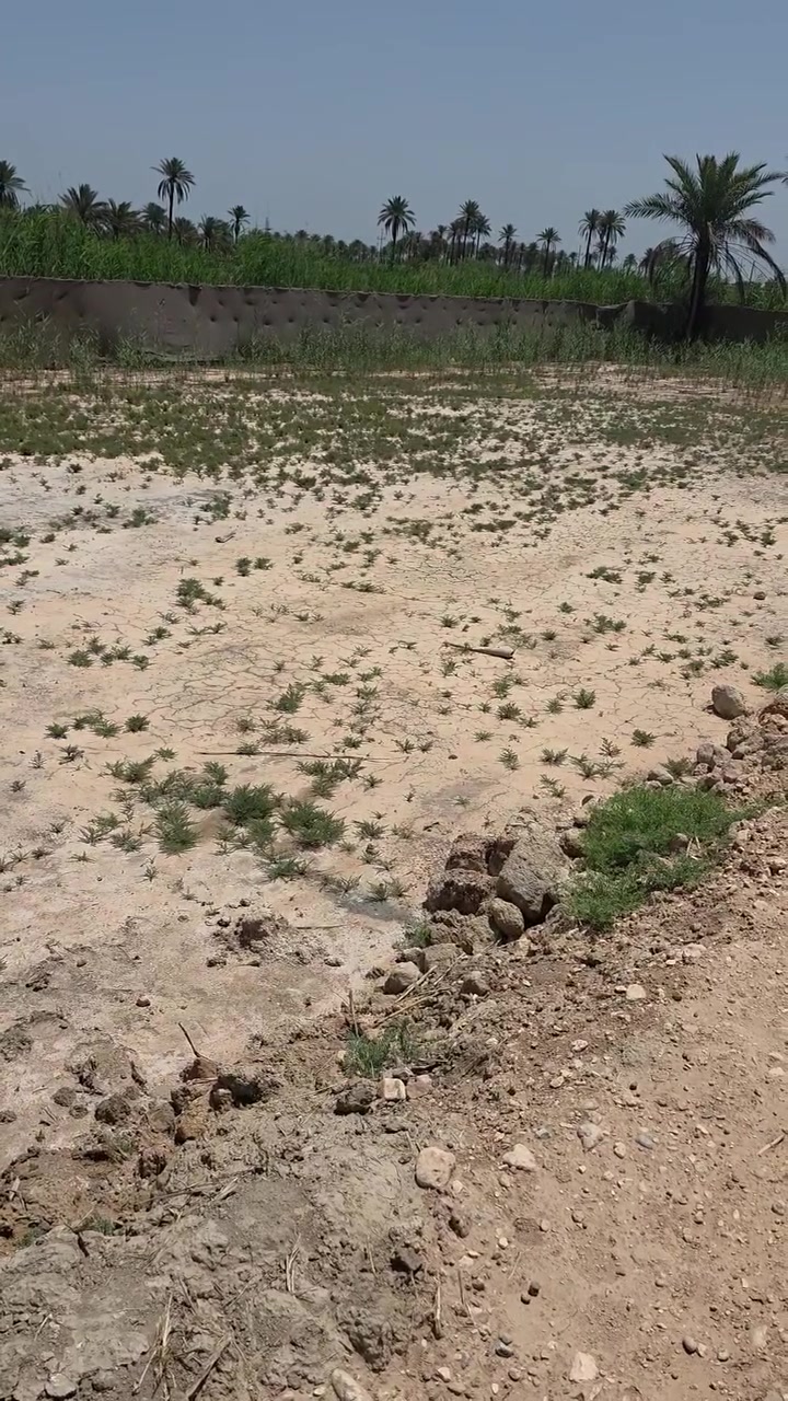 سلام عليكم دونم لبيع وتريد نص هم ينباع
مكان شارع رجيبه مقابل غسل
***********
