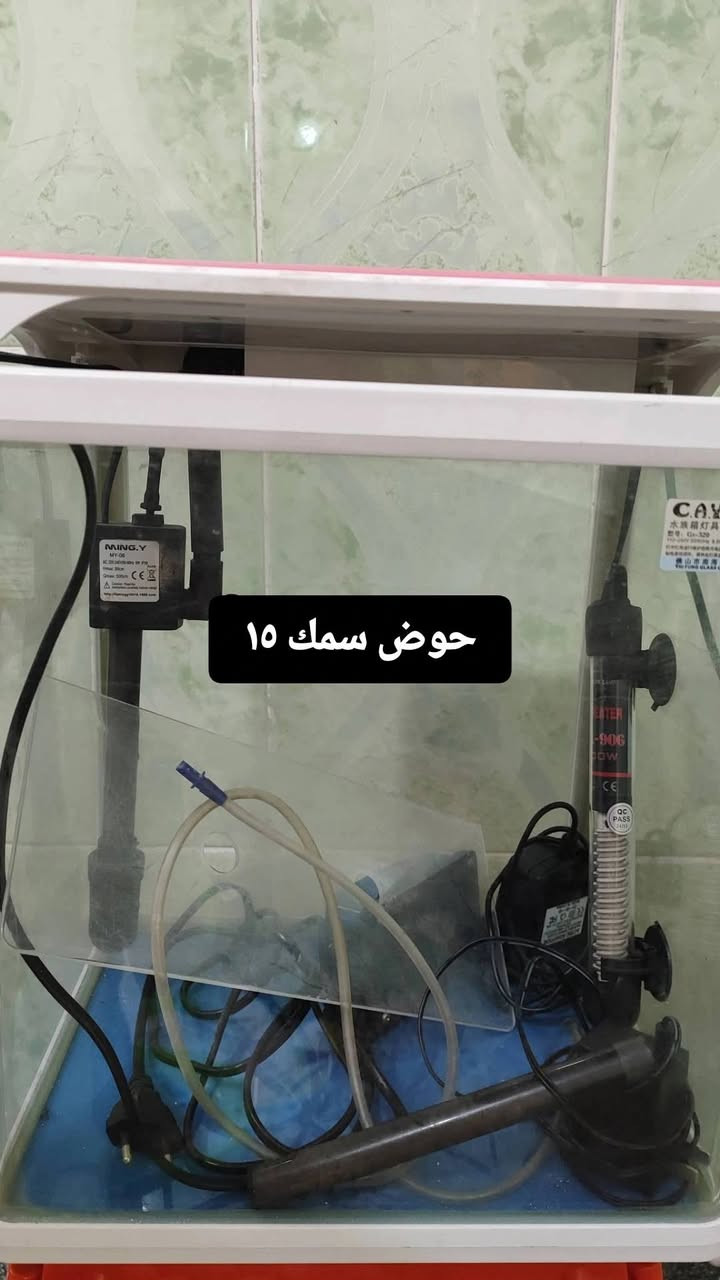 بيع مستتعجل
سعر نهائي 

الي يريد يدخل خاص


**إذا كنت صاحب هذا الإعلان وتريد حذفه لأي سبب، رجاءا أرسل رسالة إلى الدعم الفني**