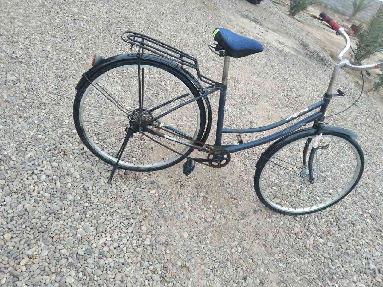 سلام عليكم باسكل حجم 26 للبيع السعر 60 وبي مجال المكان بغداد المحموديه حي العسكري الرقم ***********
