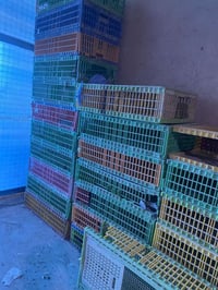 قفاص للبيع  نص عمر  ٠٧٧١٤٩٠٧٥٨١