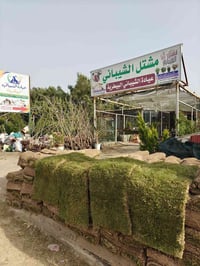 مشتل الشيباني • الناصريه • أشجار مثمرة