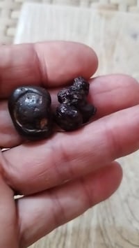 زوج هبهاب بركاني فول الفول مروحنات ومنجمات بدينة من شغلنة معلومات اكثر...