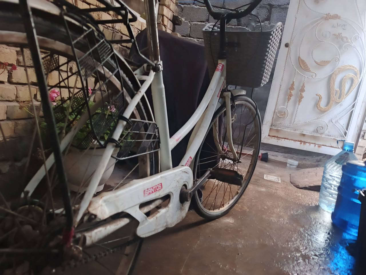 سلام عليكم باسكل البيع ب كربلاء قفل 50 نضيف كلش مكاني حي العباس اي عطل مابي رقمي بي وتساب ***********
