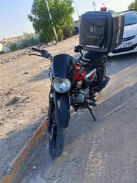 بوكسر • مرقم • سنوية