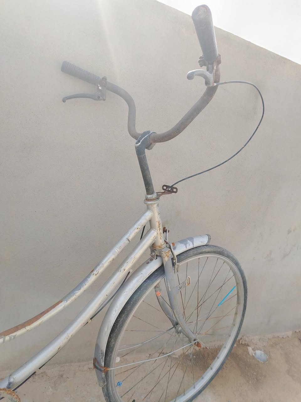 للبيع بويسكل متروك السعر خاص


**إذا كنت صاحب هذا الإعلان وتريد حذفه لأي سبب، رجاءا أرسل رسالة إلى الدعم الفني**